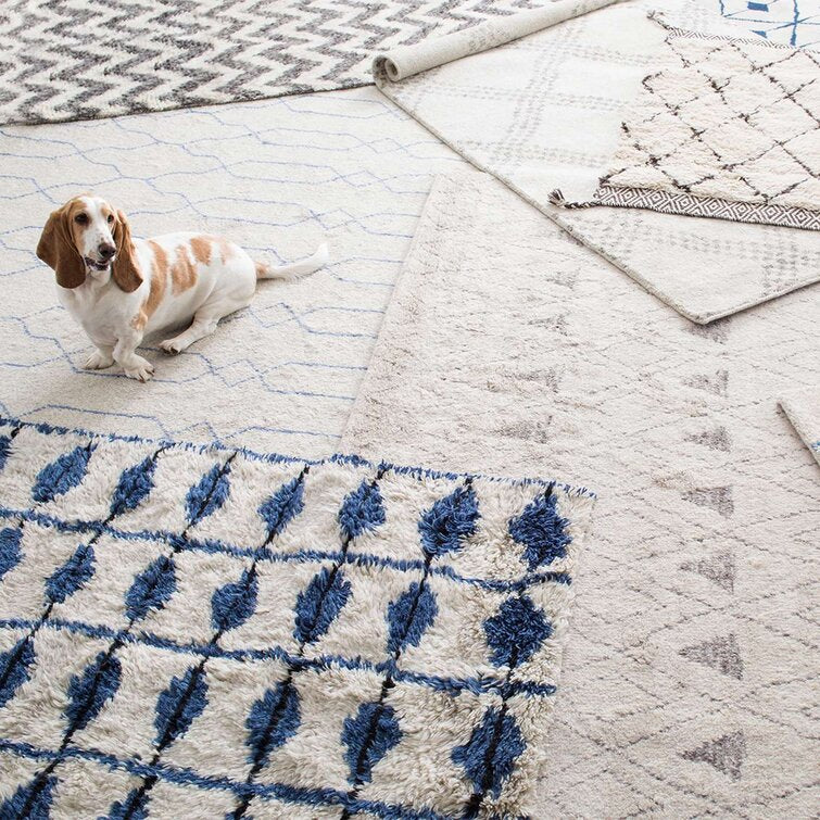 Noma Shag Wool Area Rug
