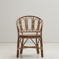 The Banyan Retreat Club Chair